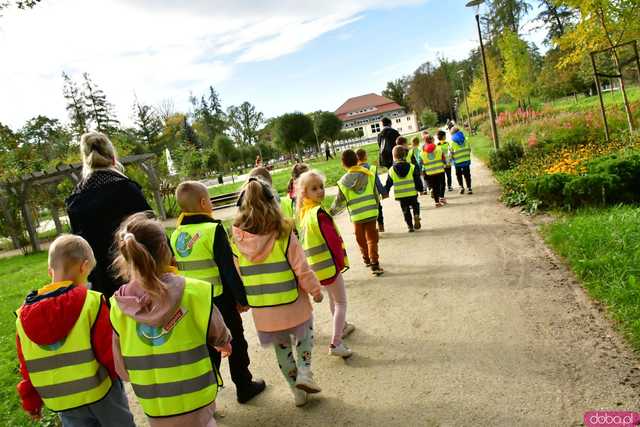 [FOTO] Zasadzili żonkile, które wiosną stworzą żółte Pola Nadziei. Wystartowała kolejna edycja akcji świdnickiego hospicjum