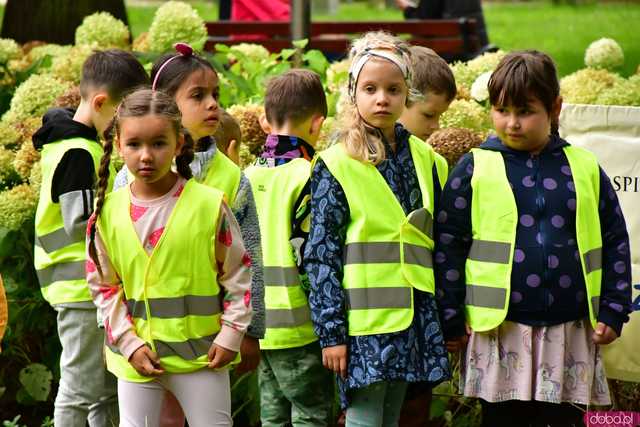 [FOTO] Zasadzili żonkile, które wiosną stworzą żółte Pola Nadziei. Wystartowała kolejna edycja akcji świdnickiego hospicjum