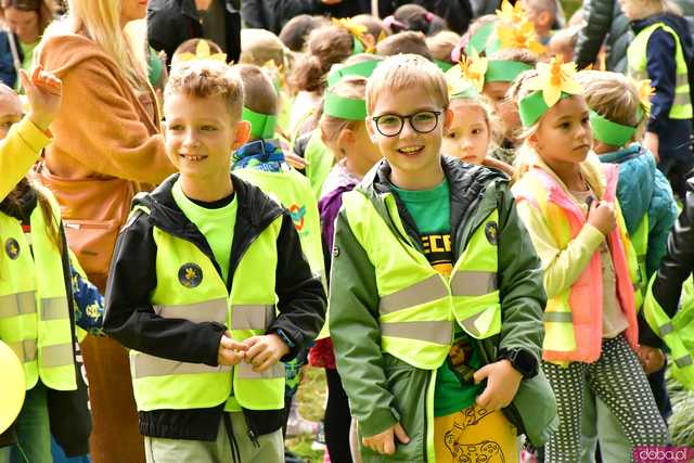 [FOTO] Zasadzili żonkile, które wiosną stworzą żółte Pola Nadziei. Wystartowała kolejna edycja akcji świdnickiego hospicjum