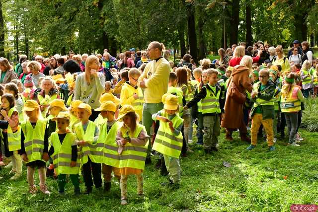 [FOTO] Zasadzili żonkile, które wiosną stworzą żółte Pola Nadziei. Wystartowała kolejna edycja akcji świdnickiego hospicjum