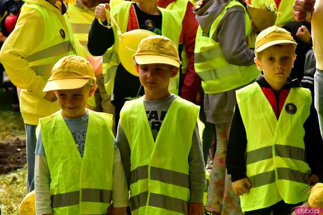 [FOTO] Zasadzili żonkile, które wiosną stworzą żółte Pola Nadziei. Wystartowała kolejna edycja akcji świdnickiego hospicjum