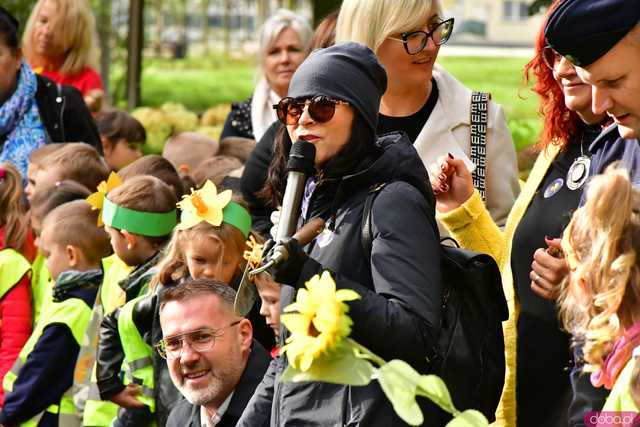 [FOTO] Zasadzili żonkile, które wiosną stworzą żółte Pola Nadziei. Wystartowała kolejna edycja akcji świdnickiego hospicjum