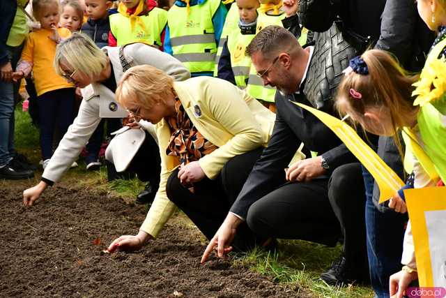 [FOTO] Zasadzili żonkile, które wiosną stworzą żółte Pola Nadziei. Wystartowała kolejna edycja akcji świdnickiego hospicjum