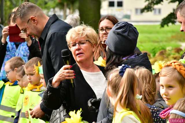 [FOTO] Zasadzili żonkile, które wiosną stworzą żółte Pola Nadziei. Wystartowała kolejna edycja akcji świdnickiego hospicjum