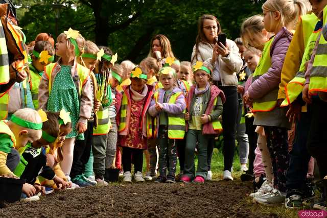 [FOTO] Zasadzili żonkile, które wiosną stworzą żółte Pola Nadziei. Wystartowała kolejna edycja akcji świdnickiego hospicjum
