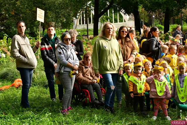 [FOTO] Zasadzili żonkile, które wiosną stworzą żółte Pola Nadziei. Wystartowała kolejna edycja akcji świdnickiego hospicjum