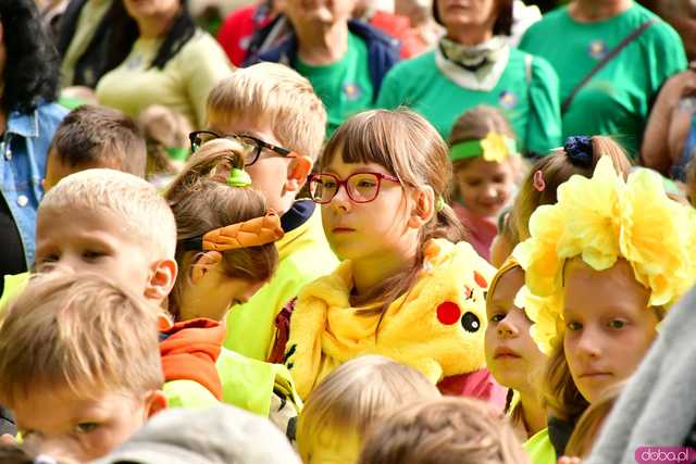 [FOTO] Zasadzili żonkile, które wiosną stworzą żółte Pola Nadziei. Wystartowała kolejna edycja akcji świdnickiego hospicjum