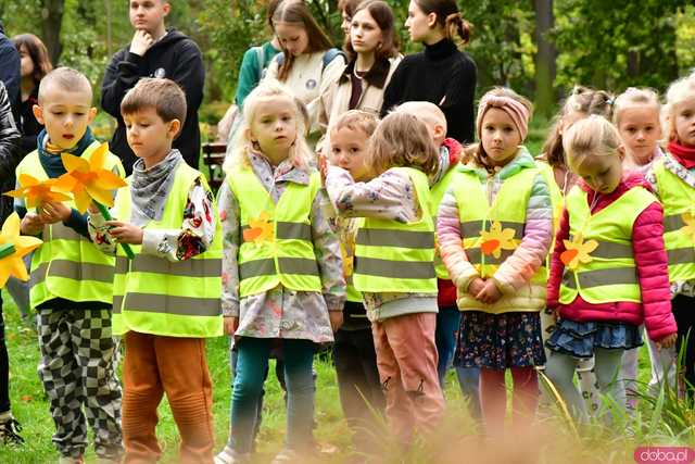 [FOTO] Zasadzili żonkile, które wiosną stworzą żółte Pola Nadziei. Wystartowała kolejna edycja akcji świdnickiego hospicjum