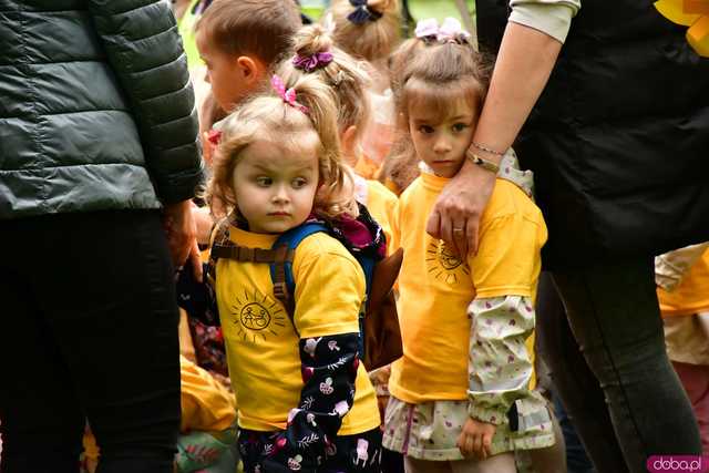 [FOTO] Zasadzili żonkile, które wiosną stworzą żółte Pola Nadziei. Wystartowała kolejna edycja akcji świdnickiego hospicjum