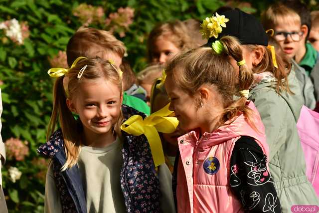 [FOTO] Zasadzili żonkile, które wiosną stworzą żółte Pola Nadziei. Wystartowała kolejna edycja akcji świdnickiego hospicjum