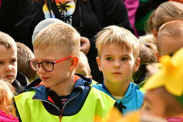 [FOTO] Zasadzili żonkile, które wiosną stworzą żółte Pola Nadziei. Wystartowała kolejna edycja akcji świdnickiego hospicjum