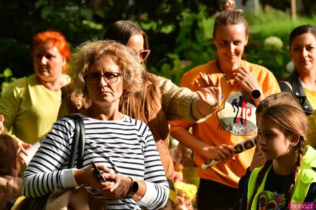 [FOTO] Zasadzili żonkile, które wiosną stworzą żółte Pola Nadziei. Wystartowała kolejna edycja akcji świdnickiego hospicjum