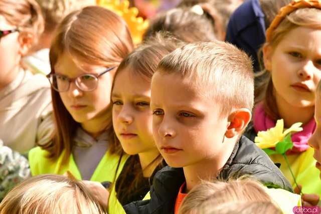 [FOTO] Zasadzili żonkile, które wiosną stworzą żółte Pola Nadziei. Wystartowała kolejna edycja akcji świdnickiego hospicjum