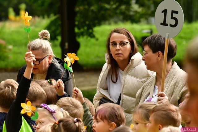 [FOTO] Zasadzili żonkile, które wiosną stworzą żółte Pola Nadziei. Wystartowała kolejna edycja akcji świdnickiego hospicjum
