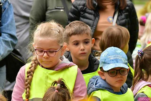 [FOTO] Zasadzili żonkile, które wiosną stworzą żółte Pola Nadziei. Wystartowała kolejna edycja akcji świdnickiego hospicjum
