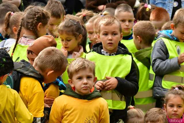 [FOTO] Zasadzili żonkile, które wiosną stworzą żółte Pola Nadziei. Wystartowała kolejna edycja akcji świdnickiego hospicjum