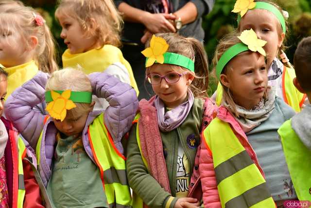 [FOTO] Zasadzili żonkile, które wiosną stworzą żółte Pola Nadziei. Wystartowała kolejna edycja akcji świdnickiego hospicjum