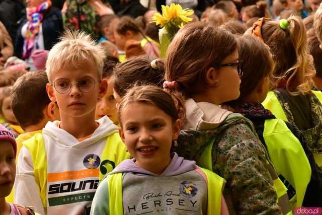 [FOTO] Zasadzili żonkile, które wiosną stworzą żółte Pola Nadziei. Wystartowała kolejna edycja akcji świdnickiego hospicjum