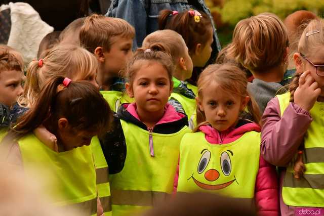 [FOTO] Zasadzili żonkile, które wiosną stworzą żółte Pola Nadziei. Wystartowała kolejna edycja akcji świdnickiego hospicjum