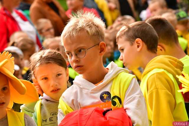 [FOTO] Zasadzili żonkile, które wiosną stworzą żółte Pola Nadziei. Wystartowała kolejna edycja akcji świdnickiego hospicjum