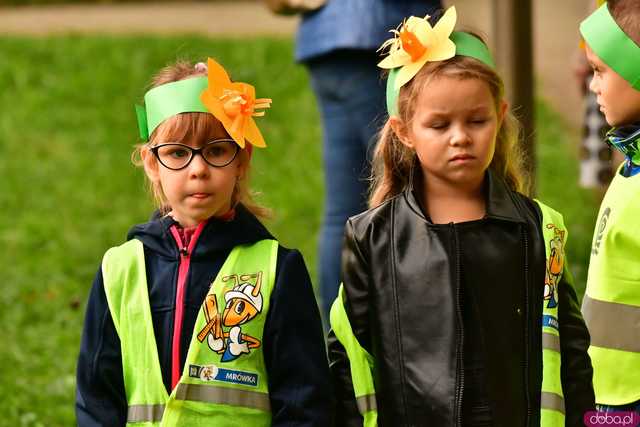 [FOTO] Zasadzili żonkile, które wiosną stworzą żółte Pola Nadziei. Wystartowała kolejna edycja akcji świdnickiego hospicjum