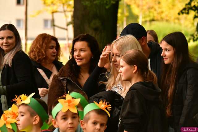 [FOTO] Zasadzili żonkile, które wiosną stworzą żółte Pola Nadziei. Wystartowała kolejna edycja akcji świdnickiego hospicjum