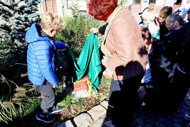 [WIDEO/FOTO] Żarów jest miastem już od 70 lat! Przed budynkiem UM odsłonięto figurkę Żarka i otwarto wystawę historyczną