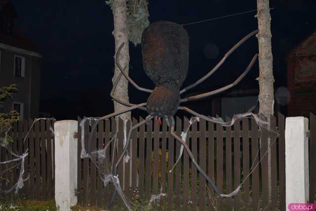 [VIDEO, FOTO] Nietoperze, czarownice, szkielety, demoniczne dynie, a nawet śmierć czyli Halloween w Imbramowicach