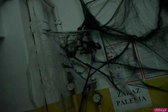 [VIDEO, FOTO] Nietoperze, czarownice, szkielety, demoniczne dynie, a nawet śmierć czyli Halloween w Imbramowicach