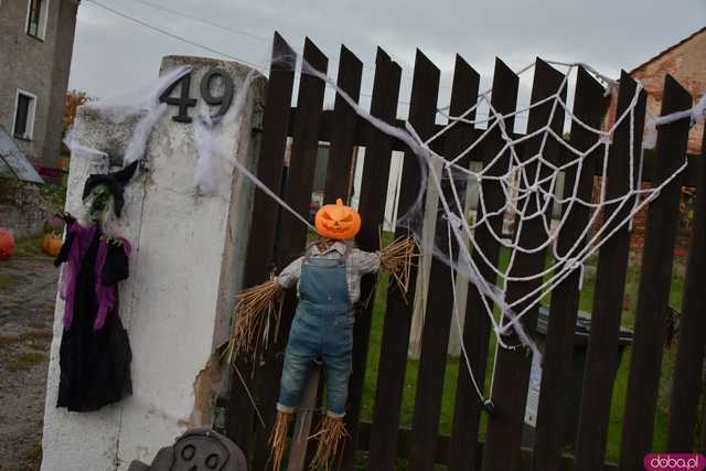 [VIDEO, FOTO] Nietoperze, czarownice, szkielety, demoniczne dynie, a nawet śmierć czyli Halloween w Imbramowicach
