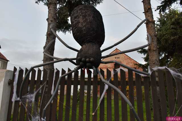 [VIDEO, FOTO] Nietoperze, czarownice, szkielety, demoniczne dynie, a nawet śmierć czyli Halloween w Imbramowicach