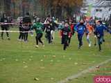 [FOTO] Zanim dorosnę do maratonu! Mnóstwo fantastycznej zabawy i wysoka frekwencja  