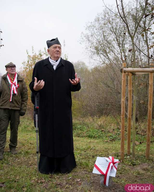 [FOTO] Na Alei Goplany odsłonięto 41 nowych tabliczek. Poświęcone są Zasłużonym dla Miasta i jego Honorowym Obywatelom