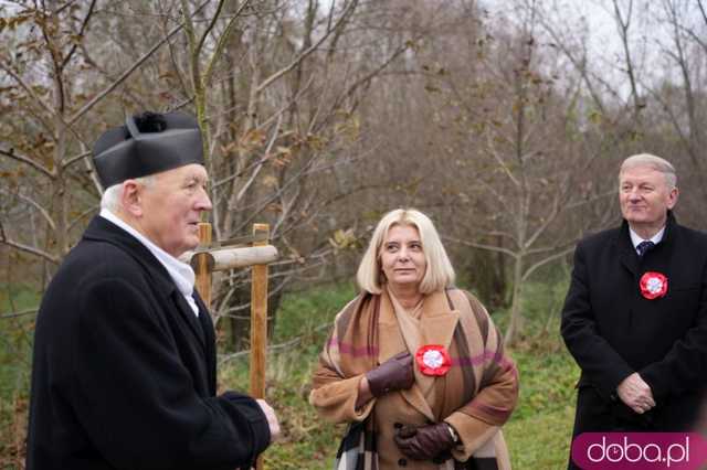 [FOTO] Na Alei Goplany odsłonięto 41 nowych tabliczek. Poświęcone są Zasłużonym dla Miasta i jego Honorowym Obywatelom
