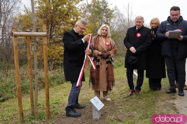 [FOTO] Na Alei Goplany odsłonięto 41 nowych tabliczek. Poświęcone są Zasłużonym dla Miasta i jego Honorowym Obywatelom