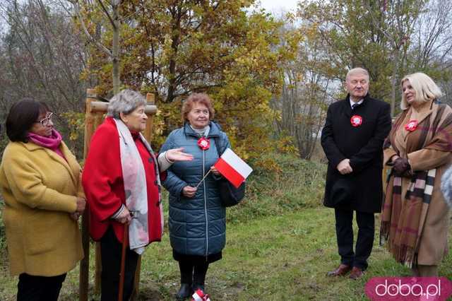 [FOTO] Na Alei Goplany odsłonięto 41 nowych tabliczek. Poświęcone są Zasłużonym dla Miasta i jego Honorowym Obywatelom