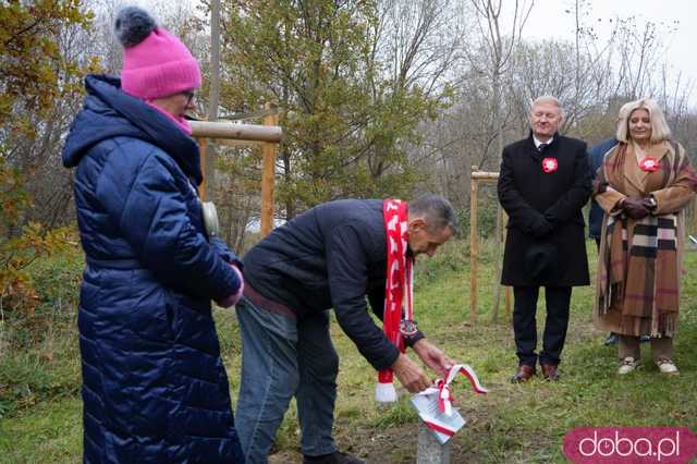 [FOTO] Na Alei Goplany odsłonięto 41 nowych tabliczek. Poświęcone są Zasłużonym dla Miasta i jego Honorowym Obywatelom