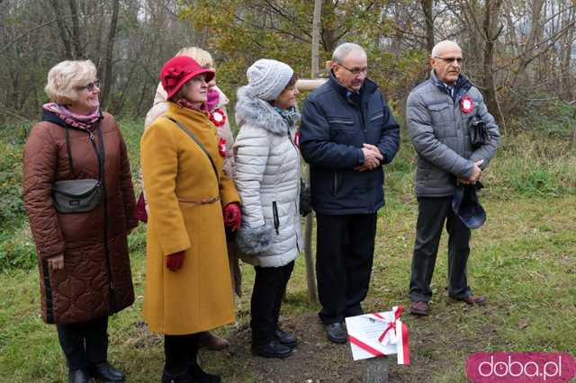 [FOTO] Na Alei Goplany odsłonięto 41 nowych tabliczek. Poświęcone są Zasłużonym dla Miasta i jego Honorowym Obywatelom