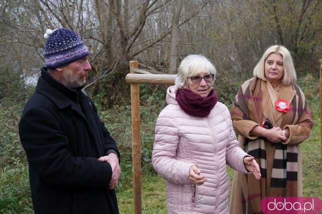 [FOTO] Na Alei Goplany odsłonięto 41 nowych tabliczek. Poświęcone są Zasłużonym dla Miasta i jego Honorowym Obywatelom