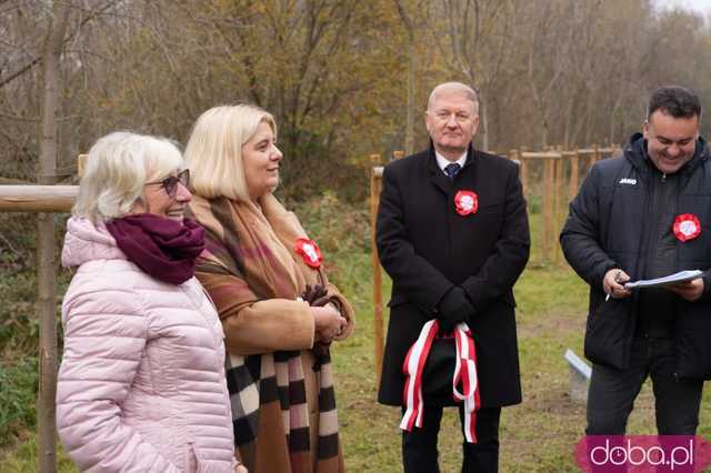 [FOTO] Na Alei Goplany odsłonięto 41 nowych tabliczek. Poświęcone są Zasłużonym dla Miasta i jego Honorowym Obywatelom