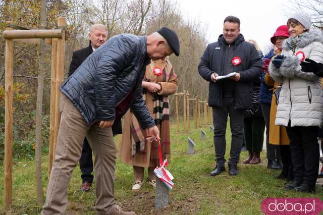 [FOTO] Na Alei Goplany odsłonięto 41 nowych tabliczek. Poświęcone są Zasłużonym dla Miasta i jego Honorowym Obywatelom