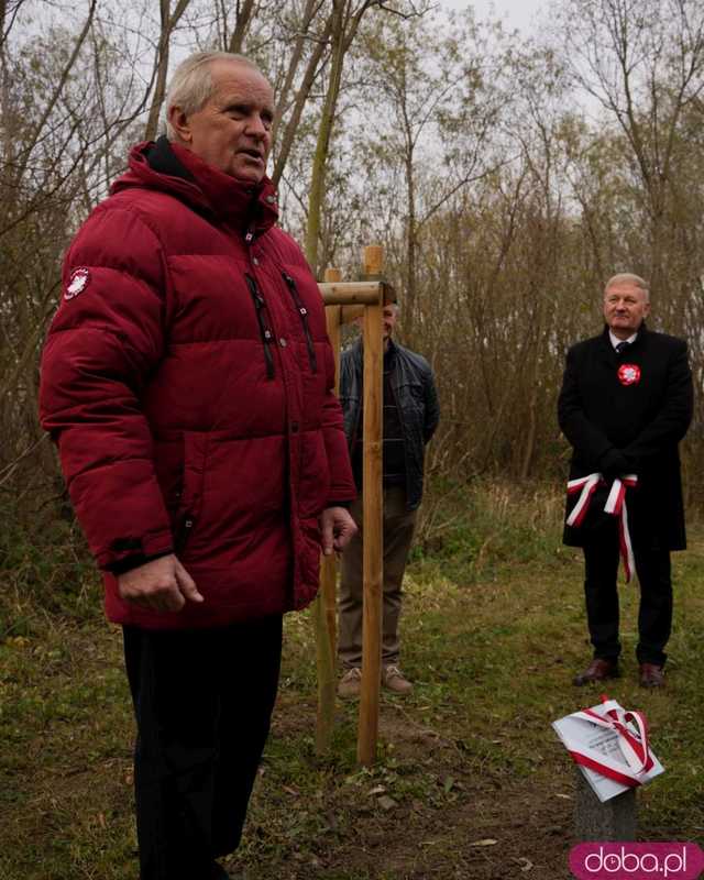 [FOTO] Na Alei Goplany odsłonięto 41 nowych tabliczek. Poświęcone są Zasłużonym dla Miasta i jego Honorowym Obywatelom