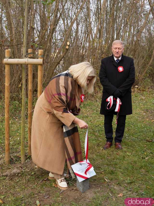 [FOTO] Na Alei Goplany odsłonięto 41 nowych tabliczek. Poświęcone są Zasłużonym dla Miasta i jego Honorowym Obywatelom
