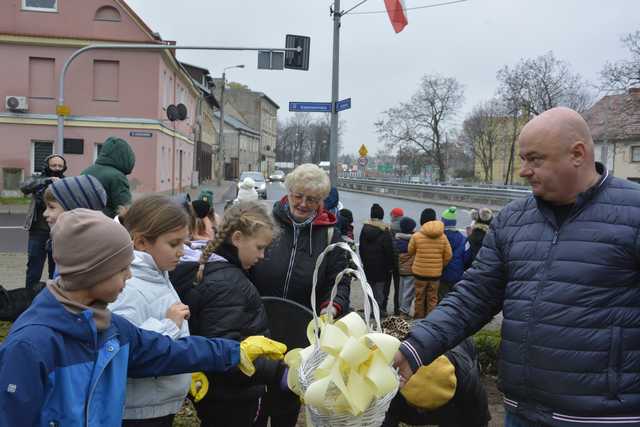 [FOTO] Zebrali się, aby zasadzić żonkile. Za nami społeczna akcja w Strzegomiu