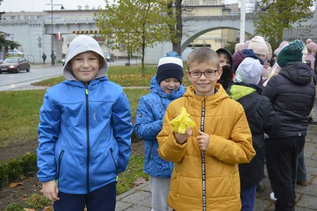 [FOTO] Zebrali się, aby zasadzić żonkile. Za nami społeczna akcja w Strzegomiu