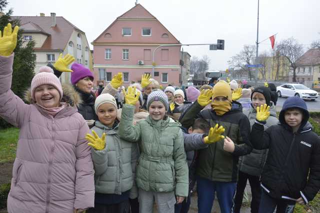 [FOTO] Zebrali się, aby zasadzić żonkile. Za nami społeczna akcja w Strzegomiu