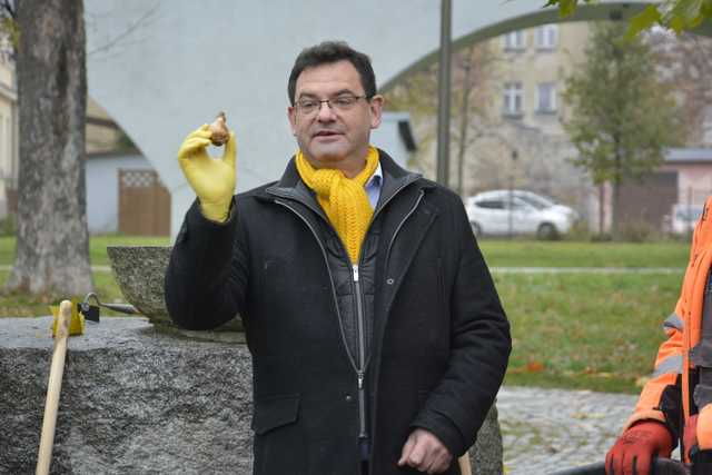 [FOTO] Zebrali się, aby zasadzić żonkile. Za nami społeczna akcja w Strzegomiu