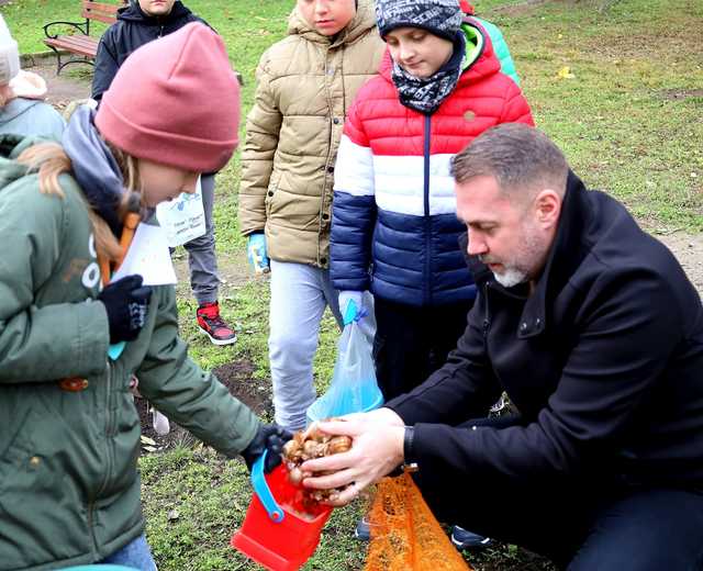 [FOTO] Uczniowie i władze Żarowa wspólnie posadzili żonkile