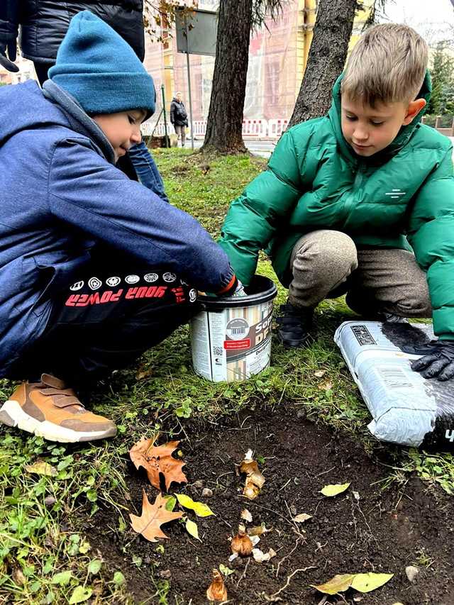 [FOTO] Uczniowie i władze Żarowa wspólnie posadzili żonkile