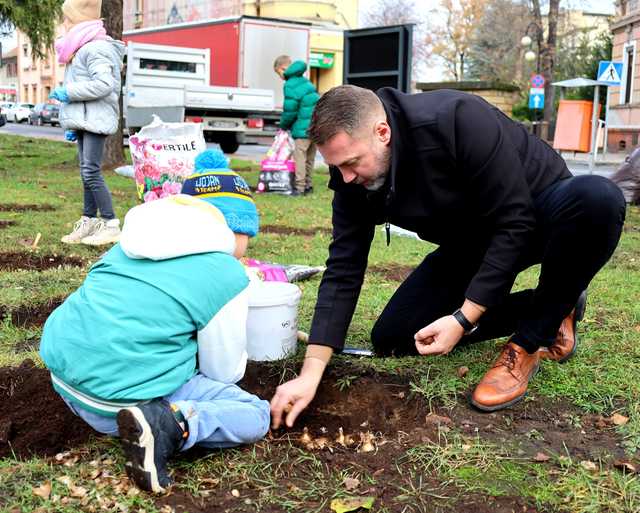 [FOTO] Uczniowie i władze Żarowa wspólnie posadzili żonkile